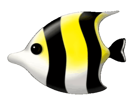 CSOWIN Visual